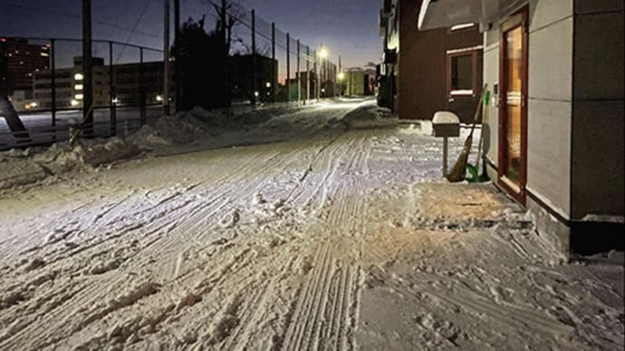【メンドい除雪も、家への愛着のきっかけなのかも・・・】