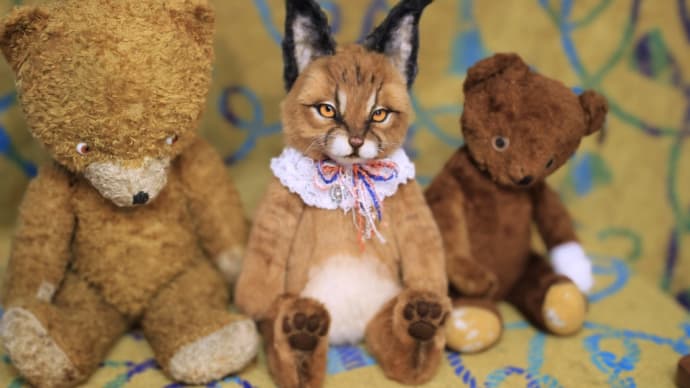 お人形野生猫シリーズ カラカルさん