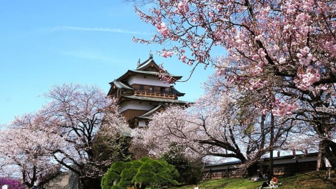 諏訪 高島城.....桜咲く