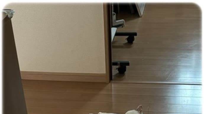 暑いけどレッスン日とあれこれ