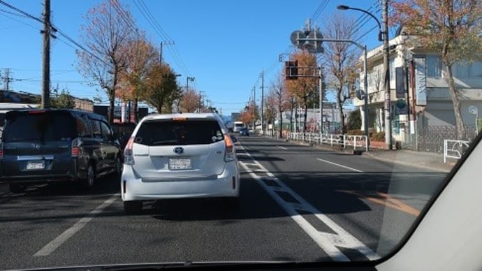 街路樹