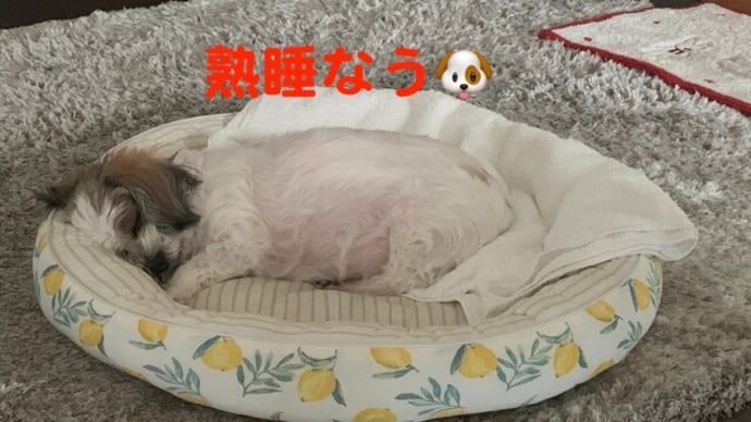 秋の断捨離備忘録。