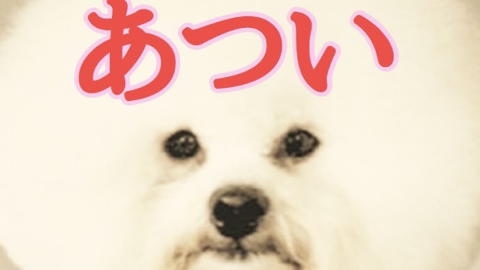 8月24日(火) hitaruで歌います!