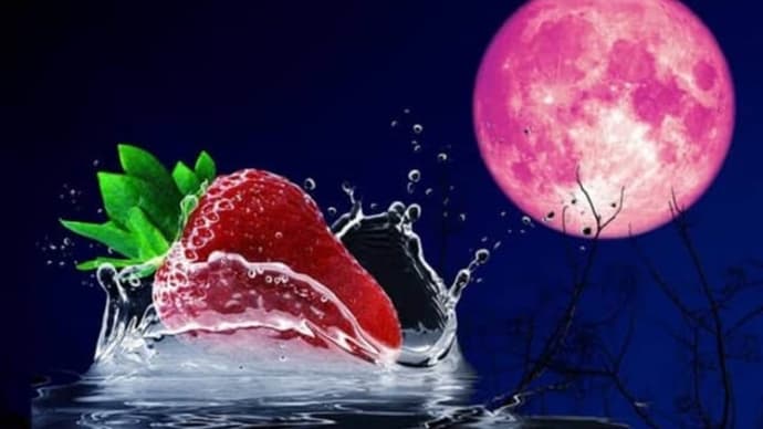 今夜は満月「ストロベリームーン」🌕