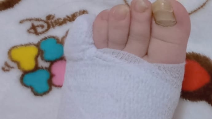 おはようございます😃