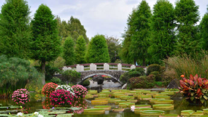 草津市立水生植物公園みずの森9月26日