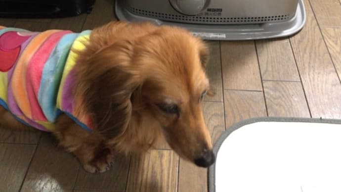 寒いからかな