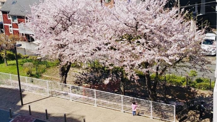 夜勤明けの空に見た桜🌸