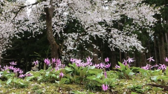 坂戸山へ①