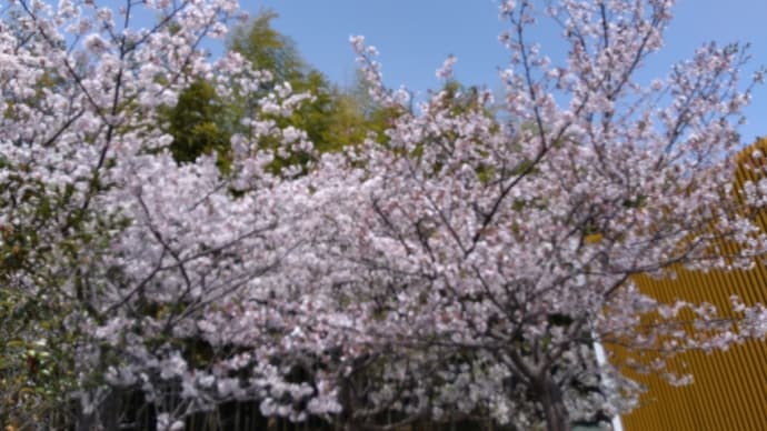 静岡旅行5