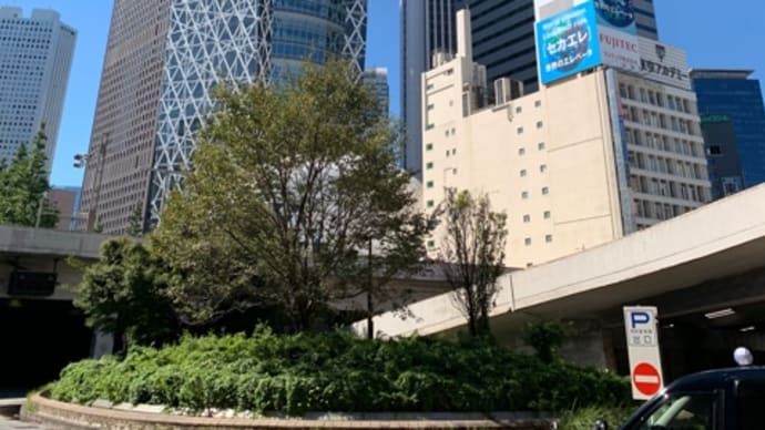 ❤️新宿モンモン散歩❤️③コクーンタワーから新宿中央公園へ❤️