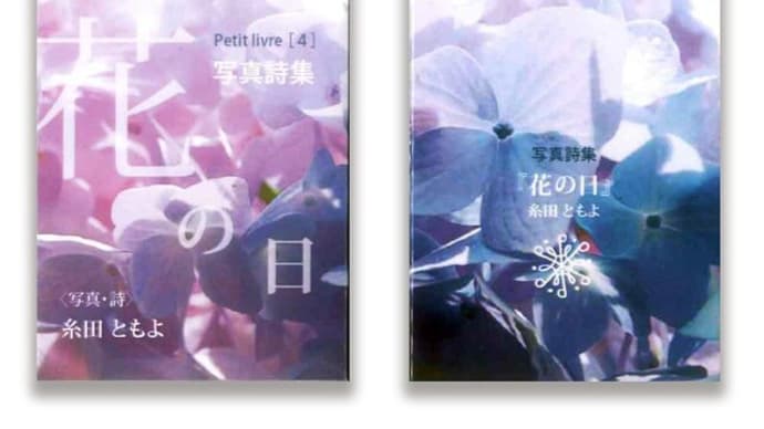 写真詩集『花の日』 糸田ともよ
