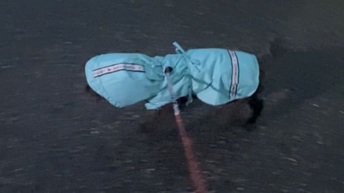 雨☂️