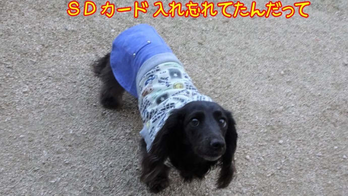 また やっちまったよ~