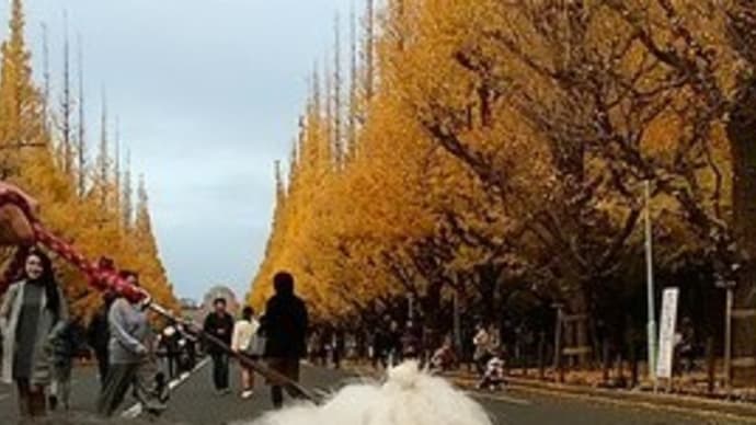 紅葉スポット