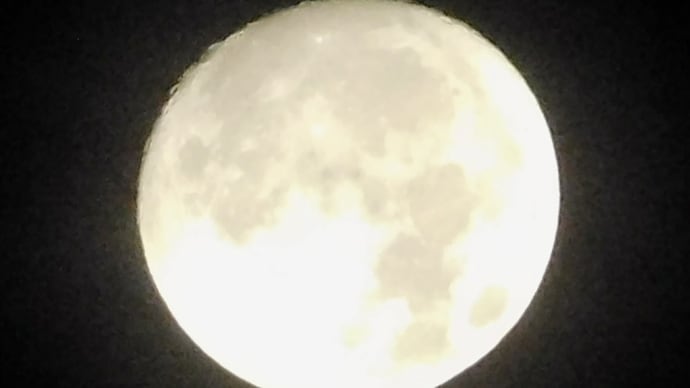 明日満月を迎えます