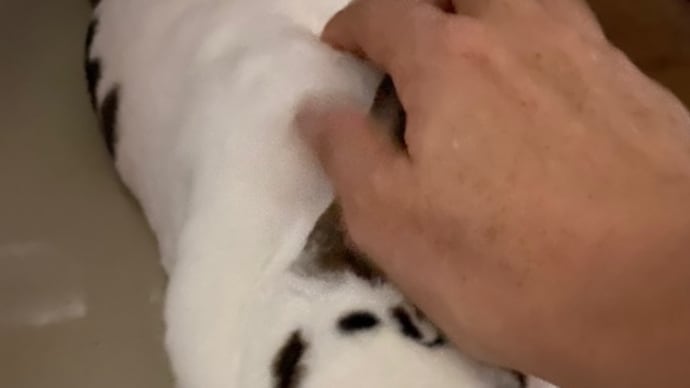 カエル足なこももちゃん♡