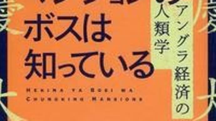 チョンキン(重慶)マンションのボスは知っている 小川さやか 春秋社