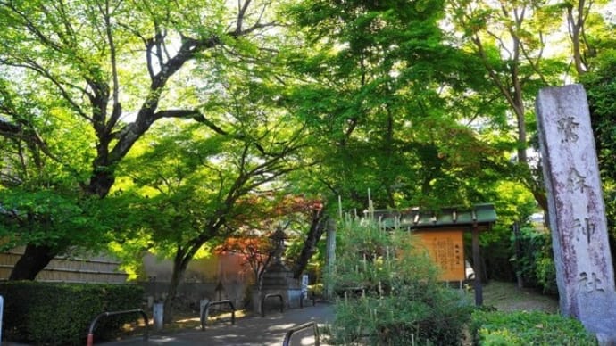 京都　青モミジ100シリーズの名所 鷺森神社