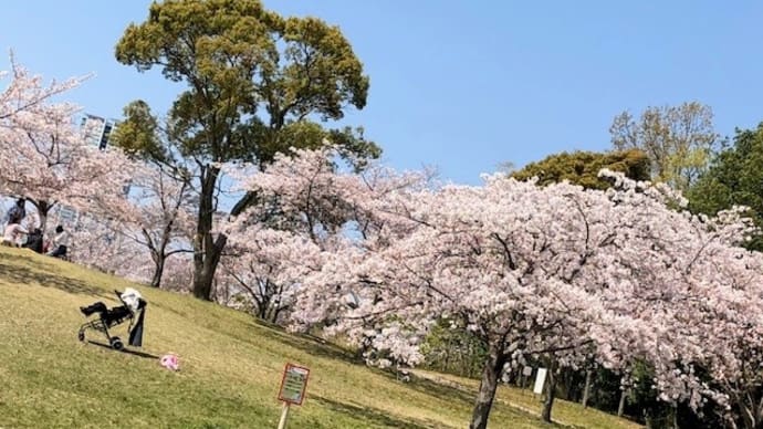 おじじさま