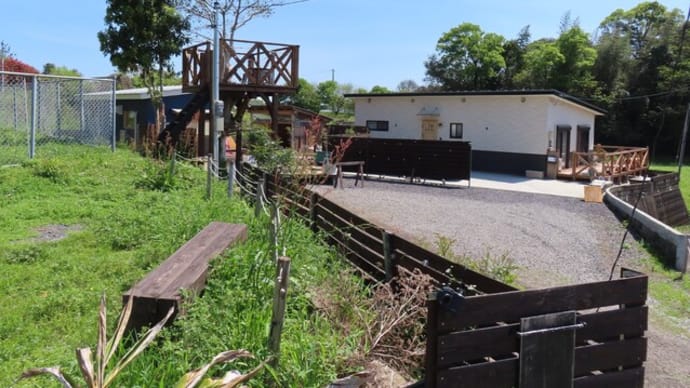 日向市美々津町・ミミスタンドでランチ