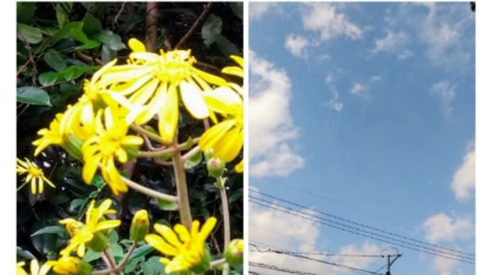 インフルエンザ予防接種&いただき物