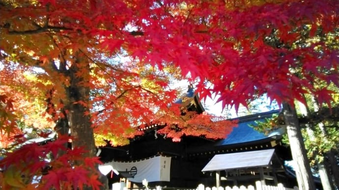 信州 長野市松代町 象山神社さんの紅葉をぱちり📷️🍁