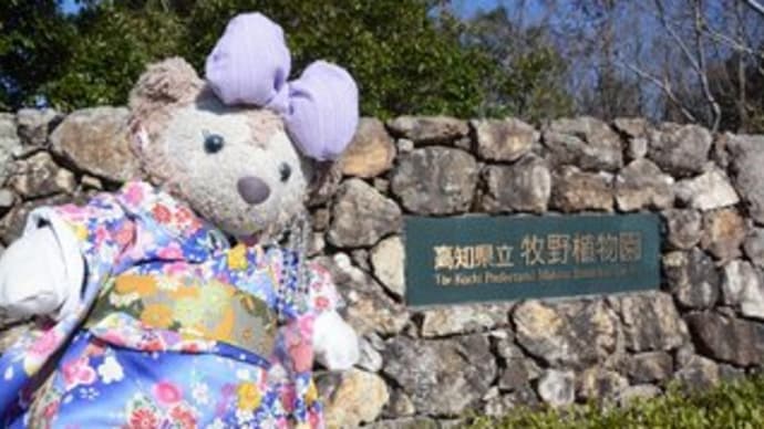 NHK 朝ドラ らんまん