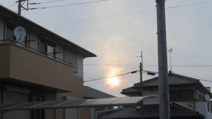 梅雨の走りなんだとか