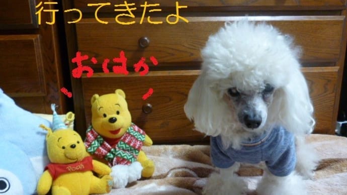 空気が冷たいが…お墓参りにGO! ε=ε=┏(; ̄▽ ̄)┛ そして枝垂れ桜が咲いていた