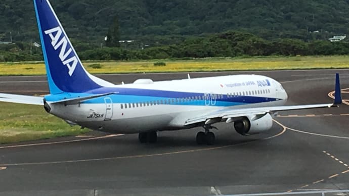 八丈島空港へお見送りに行ってきました〜✈️