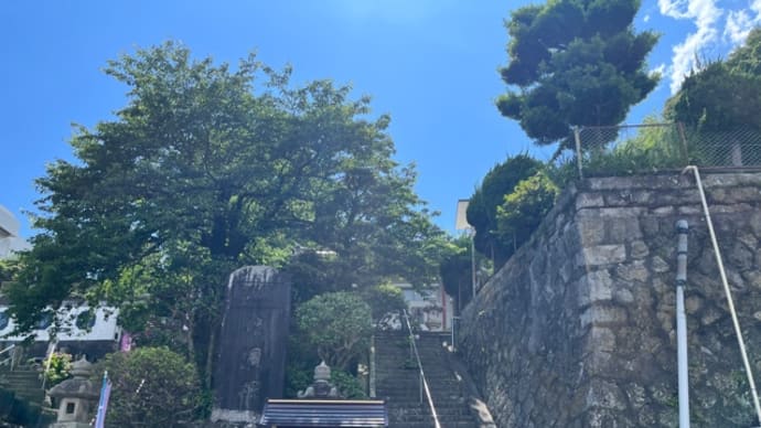 あじさい寺♪ 〜照江寺〜