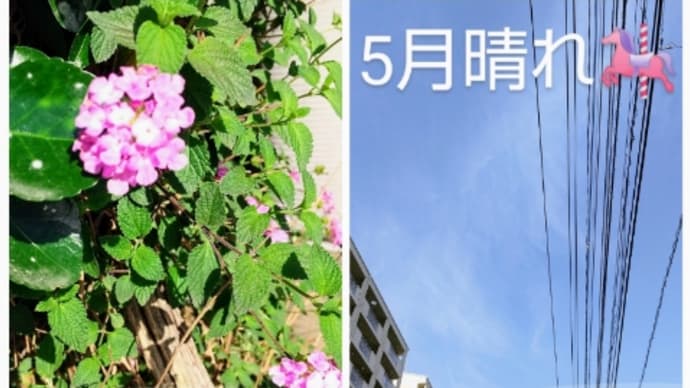 遂に、第11号「お」の完成だァ❗️