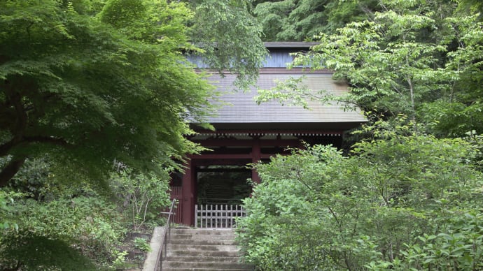 20220515 安国論寺と苔寺 07 Vario-Sonnar T* 28-85mm