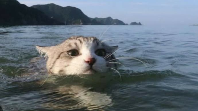 お風呂😃🛀💙