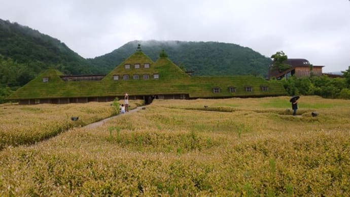 近江八幡までドライブ