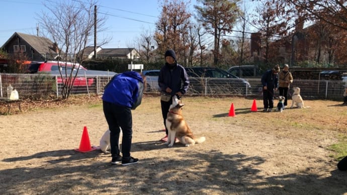 新年は初遊びから始まります。