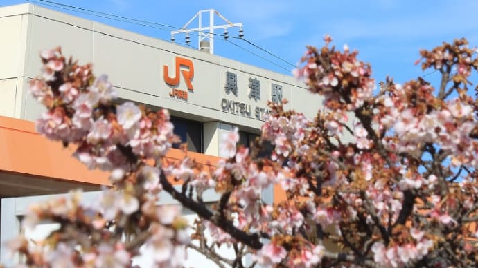 JR興津駅前の風景(焼きたてだんご ささご 他 2023年2月)