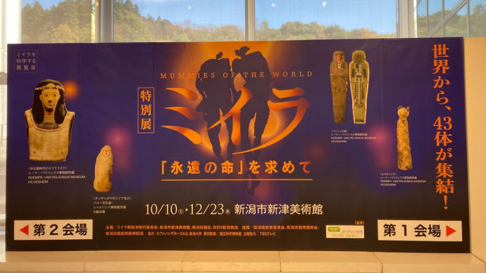 【特別展】ミイラ「永遠の命」を求めて