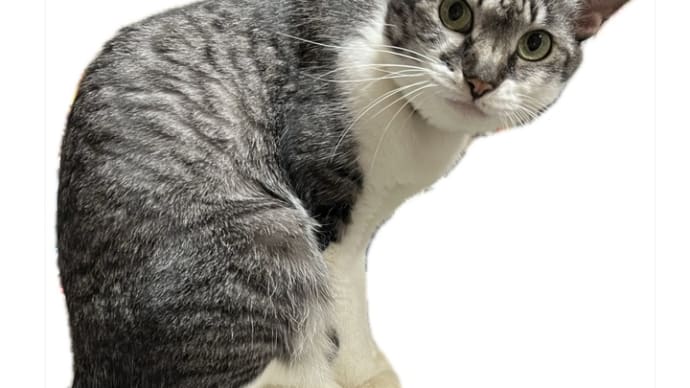 今日のお仕事