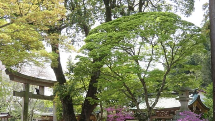 131　高麗神社 水天宮