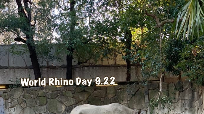World Rhino Day 9.22