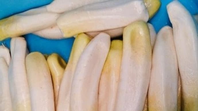 今季最後の「大根の麹漬け」