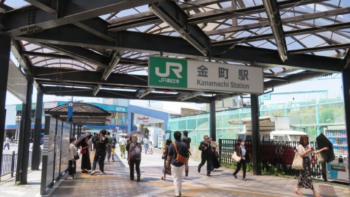 寅さんの街へのJR最寄駅から河川敷の5万本の菖蒲園まで歩く