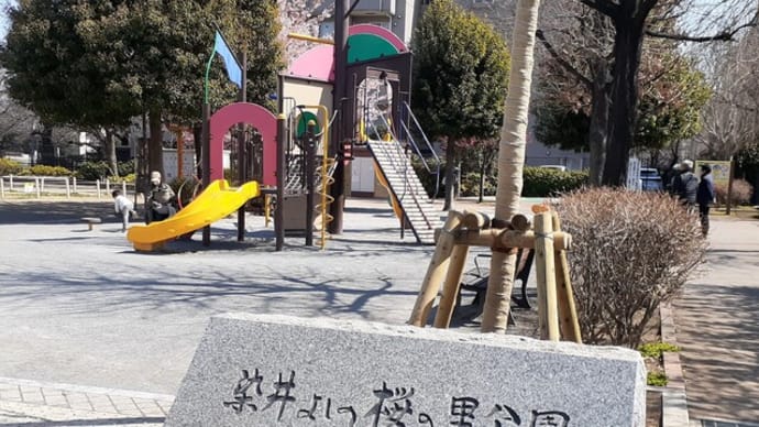 「染井よしの桜の里公園」の河津桜満開