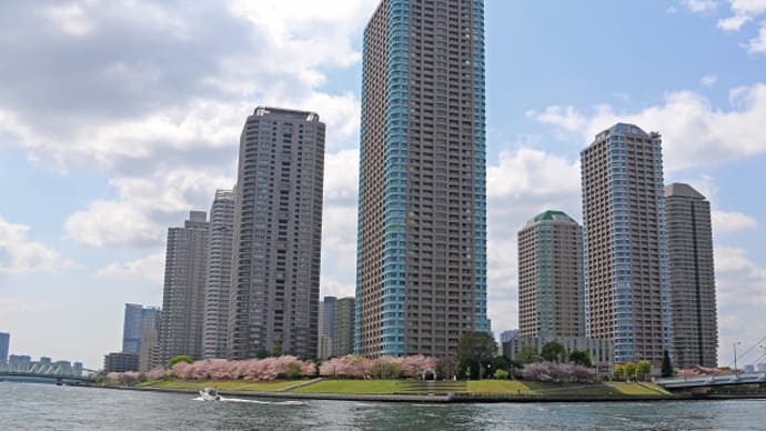 東京 大横川さくらクルーズ 6