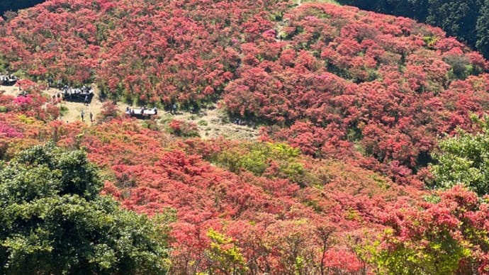2023年5月11日の葛城山