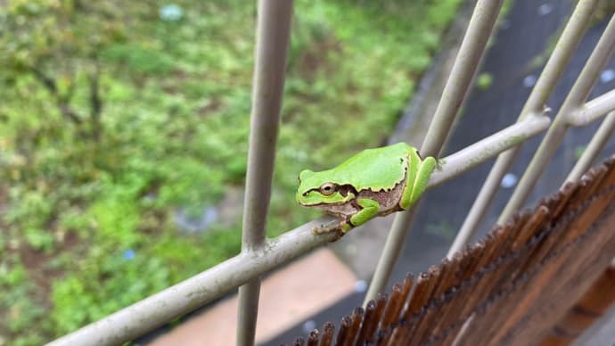 サーボブレーキに替えてみました。