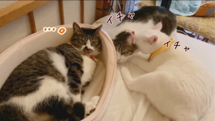 ワクチン2回目打ちますた