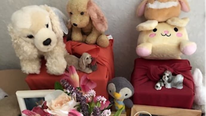 部屋を移動中に・・・